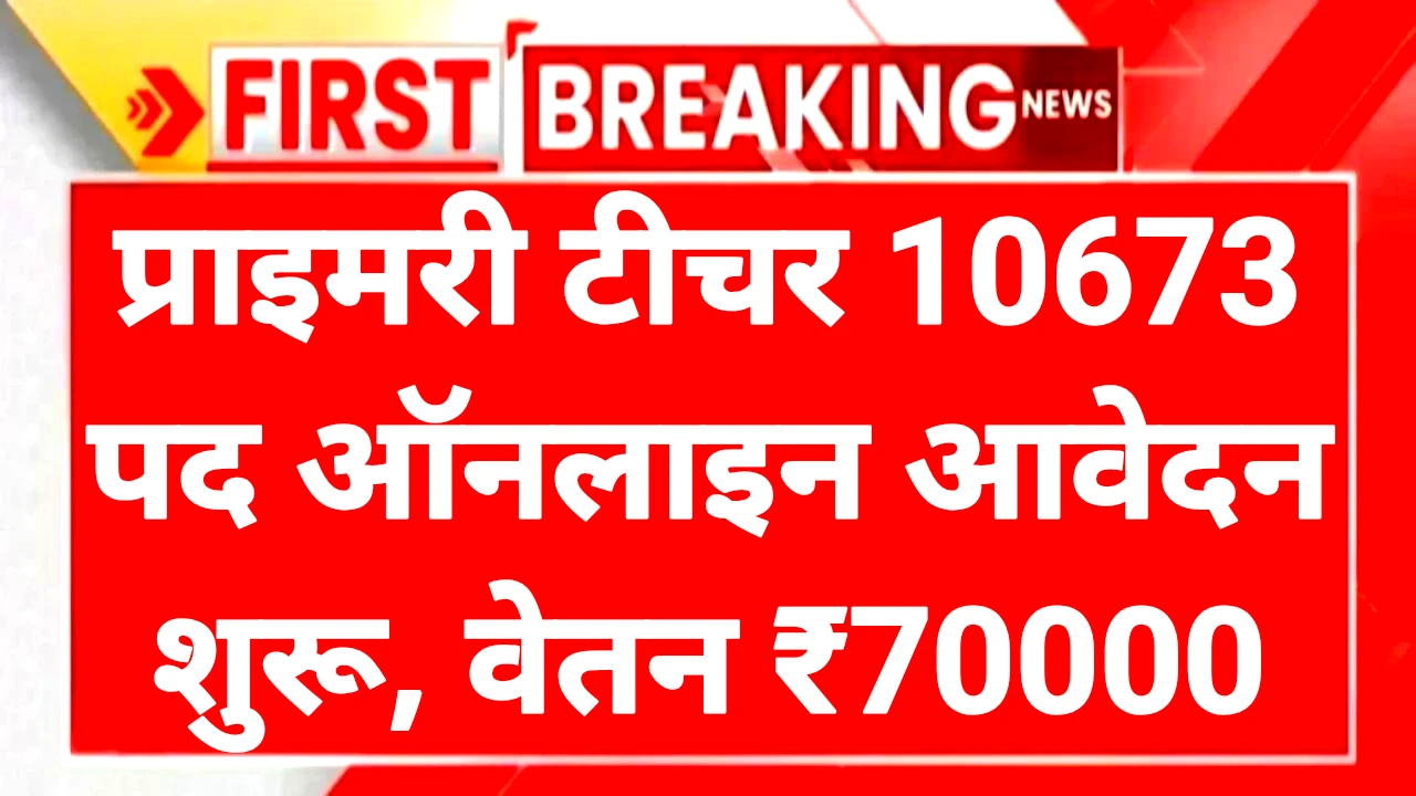 Primary Teacher Recruitment 2025